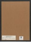 Cystopleura gibberula var. producta Grun. (de-Toni-Nr.: Genus 103, Species 3129) Zeichnungen Sammlung Grunow Mappe 03374 (Herbarium_W_Grunow_drawings_Folder_03374)